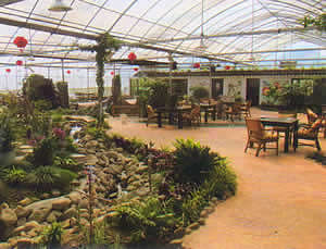 阳光嘉园生态餐厅温室
